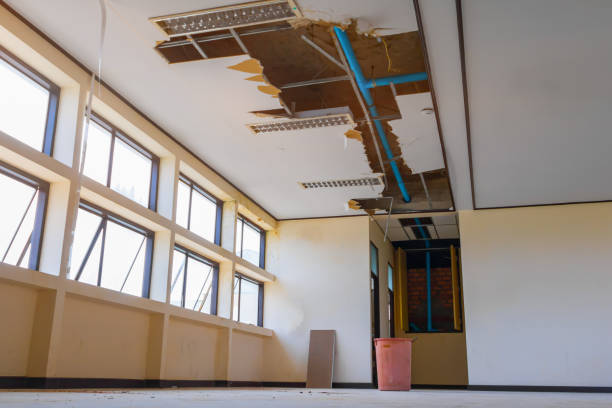 Reliable CO Water damage restoration Solutions
