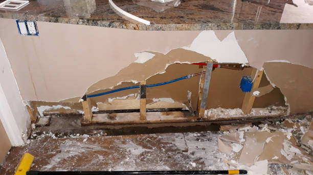 Best Flood damage cleanup  in Breckenridge, CO