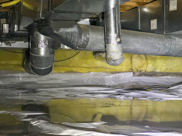 Best Professional water damage repair  in Breckenridge, CO