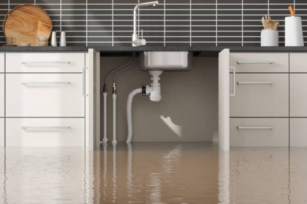 Best Ceiling water damage repair  in Breckenridge, CO