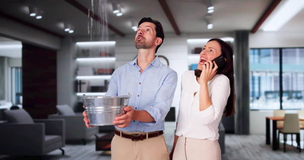 Best Water damage restoration experts  in Breckenridge, CO